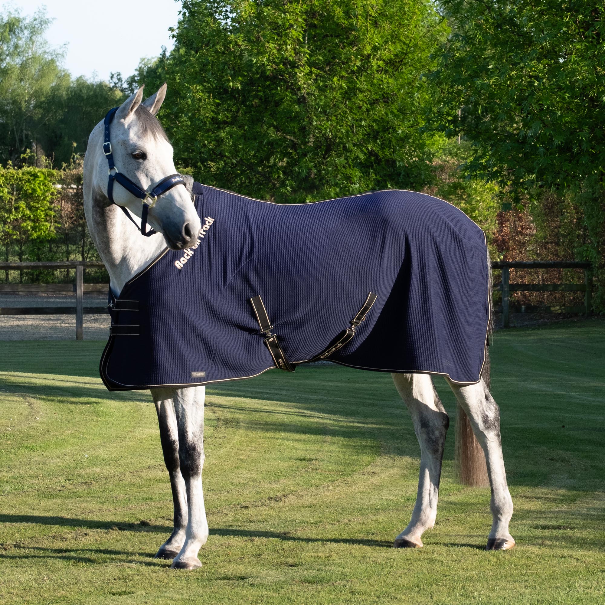 Quick Cooler Paardendeken