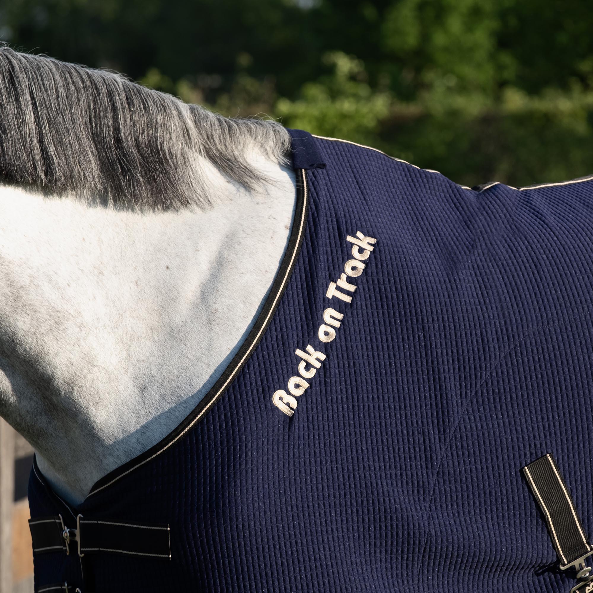 Quick Cooler Paardendeken