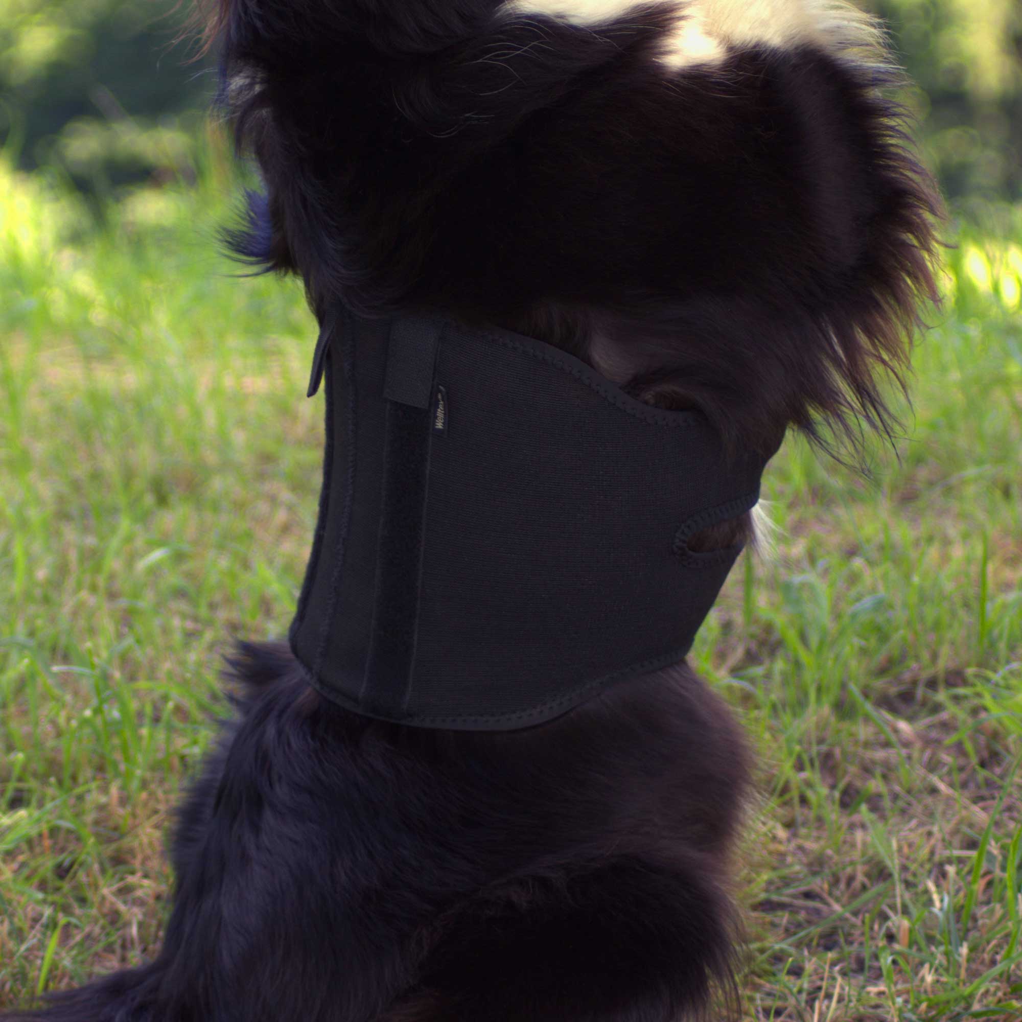Honden Rugbeschermer