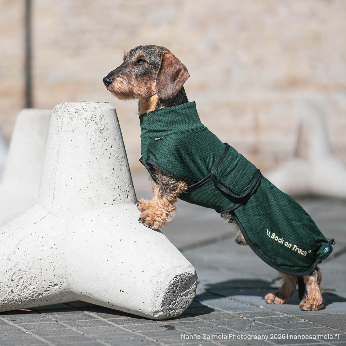 "Buddy" Mesh Long Dog Coat