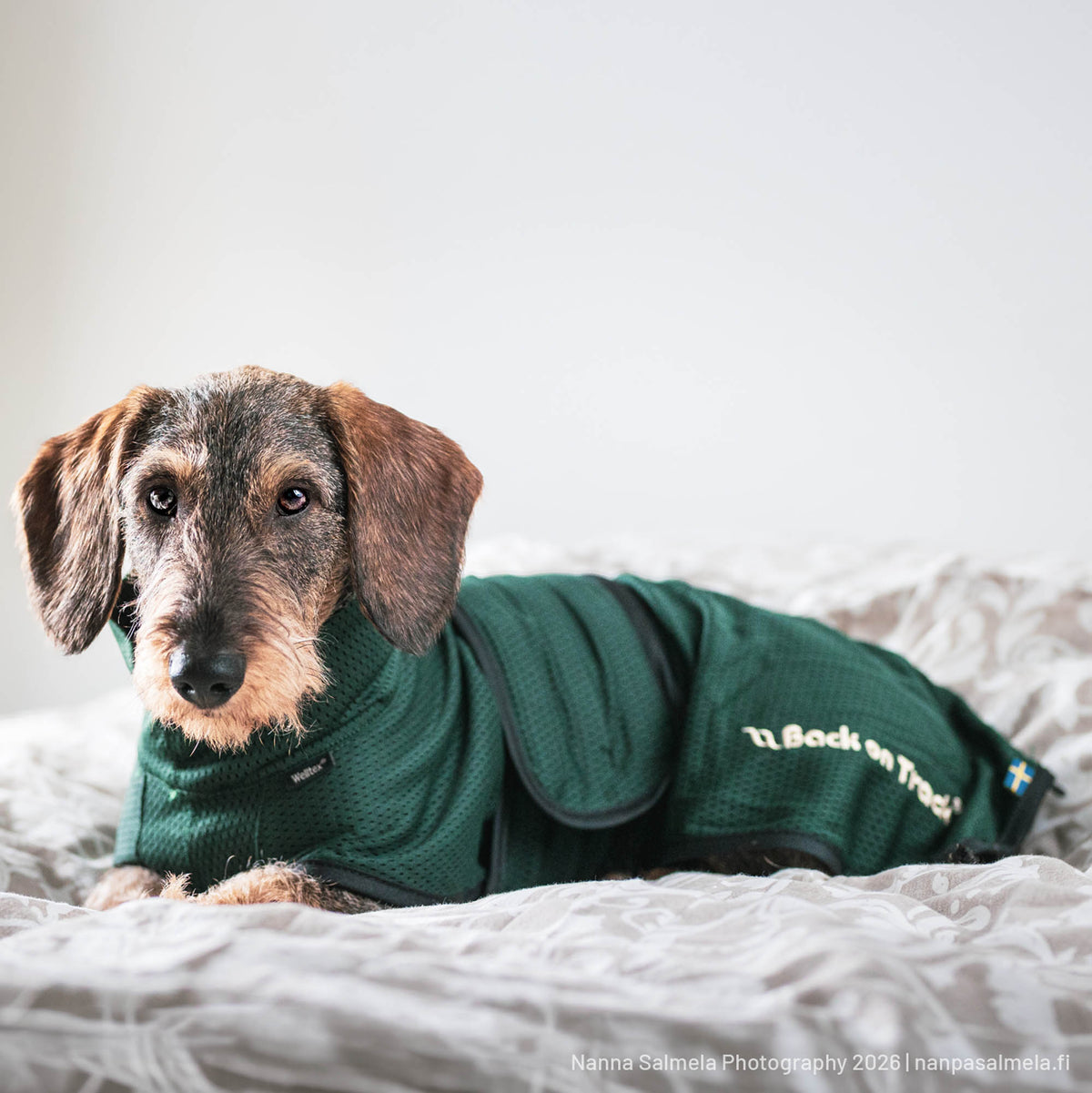 "Buddy" Mesh Long Dog Coat