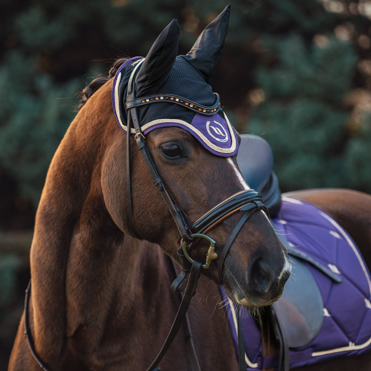 NC Horse Bonnet Taye - Back on Track Sverige (5300120944795)