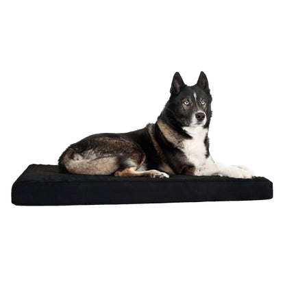 Hondenmatras