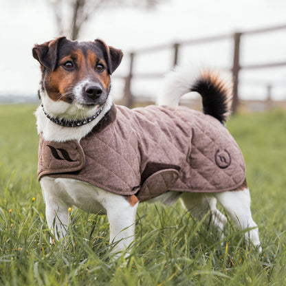 Haze Collectie Hondenjas