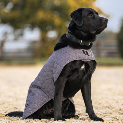 Haze Collectie Hondenjas