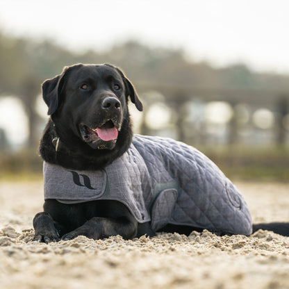 Haze Collectie Hondenjas