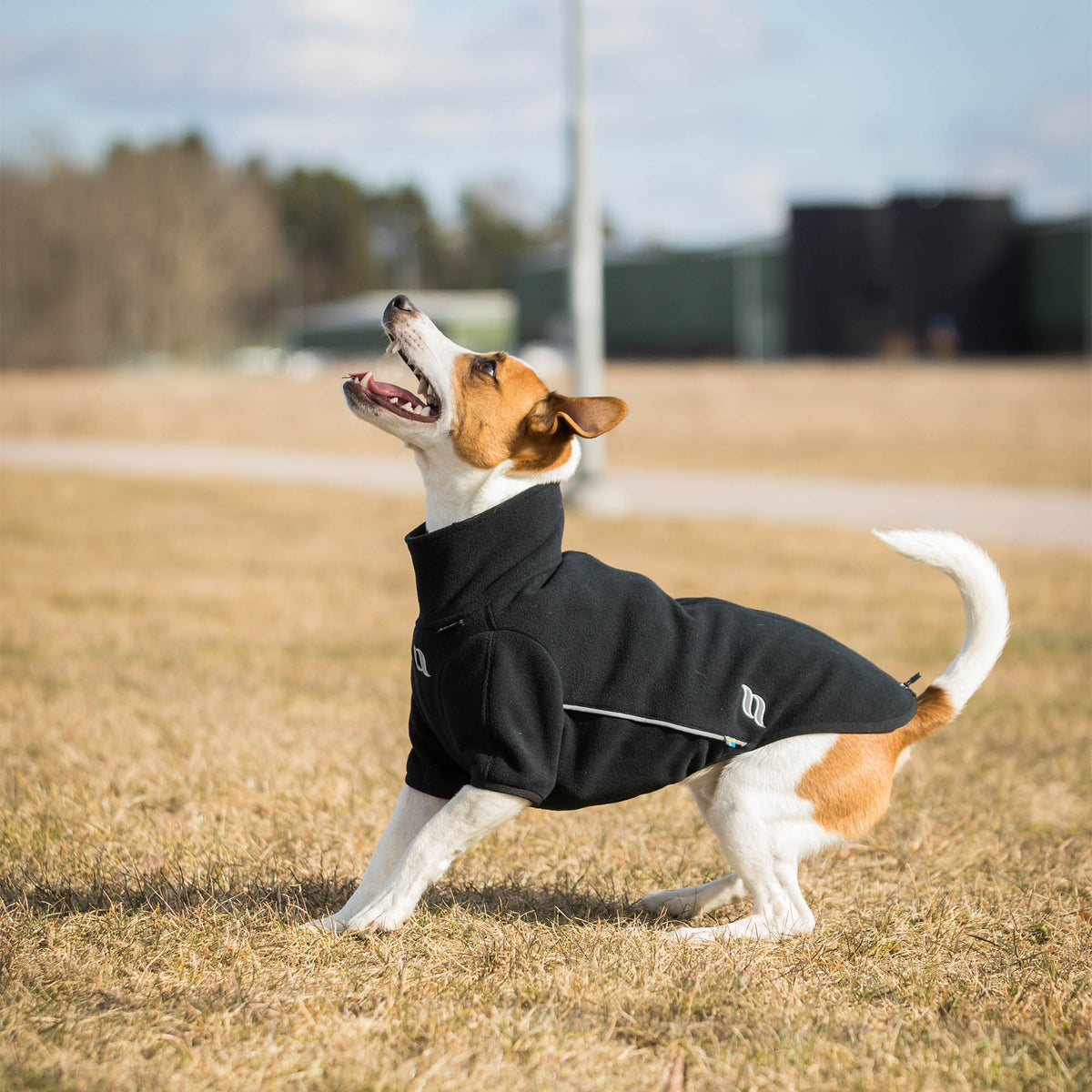  "Cassie" All-weather Hondentrui
