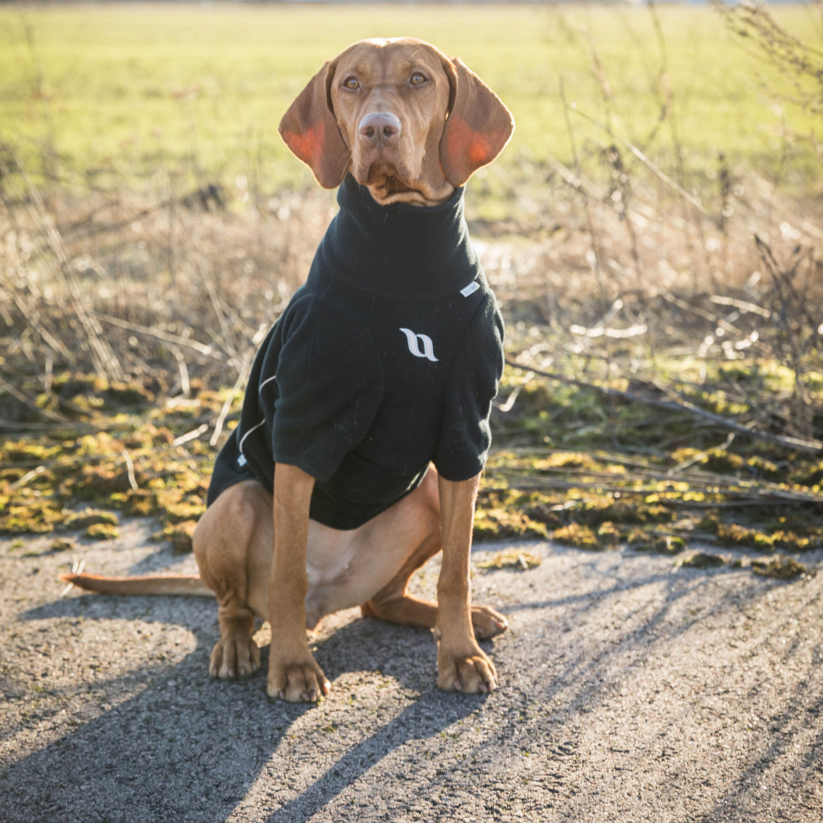  "Cassie" All-weather Hondentrui
