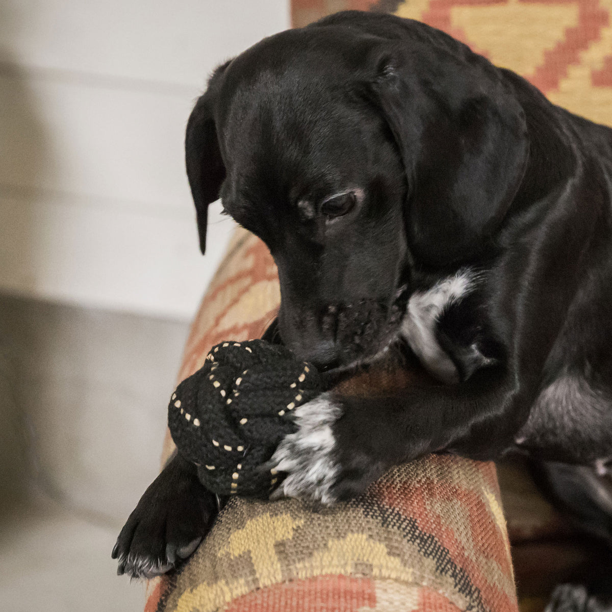 Dog Rope Ball