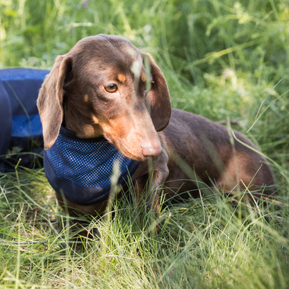 Cool on Track® Cooling Bandana