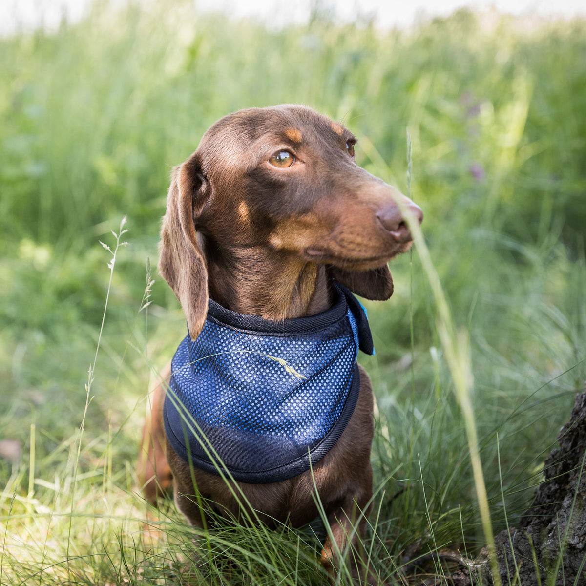 Cool on Track® Cooling Bandana
