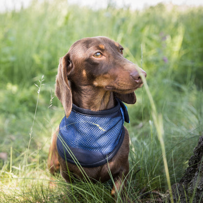 Cool on Track® Cooling Bandana