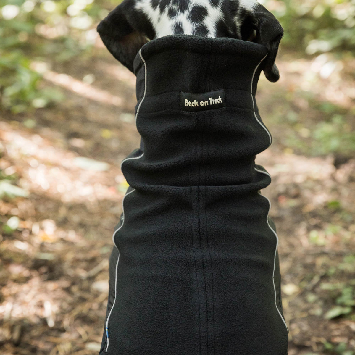 "Benji" Nekwarmer